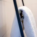 10 Persons Tulpenacker Comfort Ferienhaus