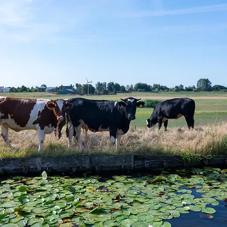 Casa vacanze 10 Persons Tulpenacker Comfort Roelofarendsveen
