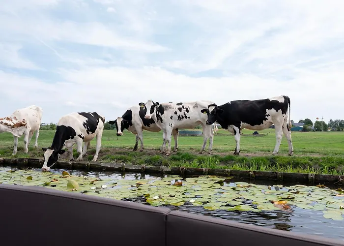 10 Persons Tulpenacker Comfort *