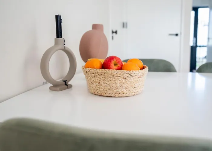 10 Persons Tulpenacker Comfort Vakantiehuis Roelofarendsveen